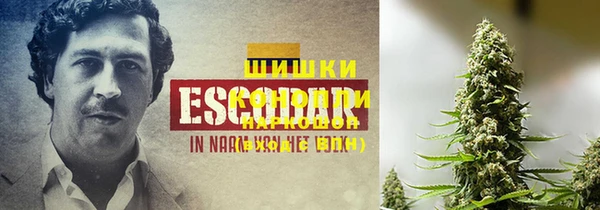 спайс Алексин