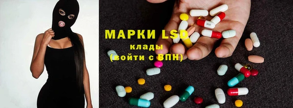 прущие грибы Инсар