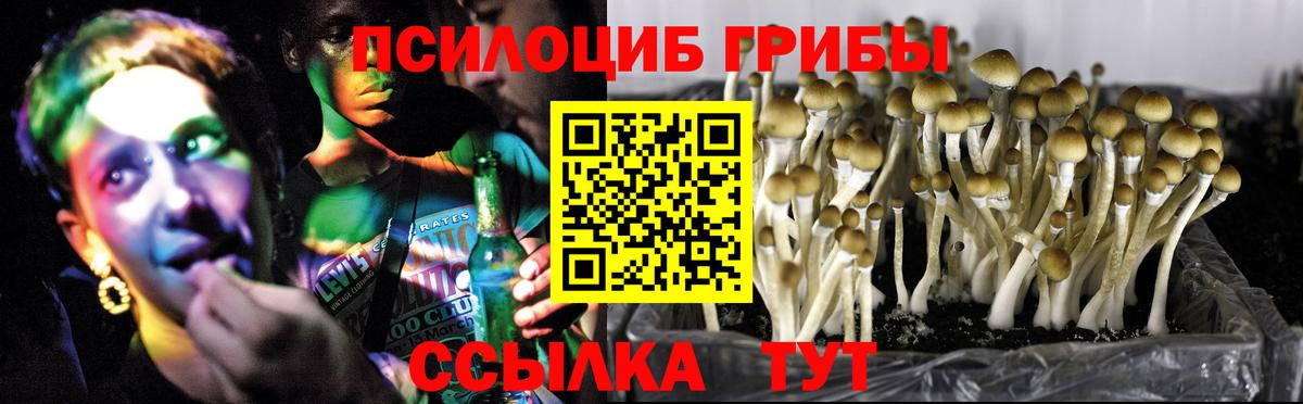 Лесозаводск  Псилоцибиновые грибы прущие грибы  Вход с VPN  Псилоцибиновые грибы мицелий 