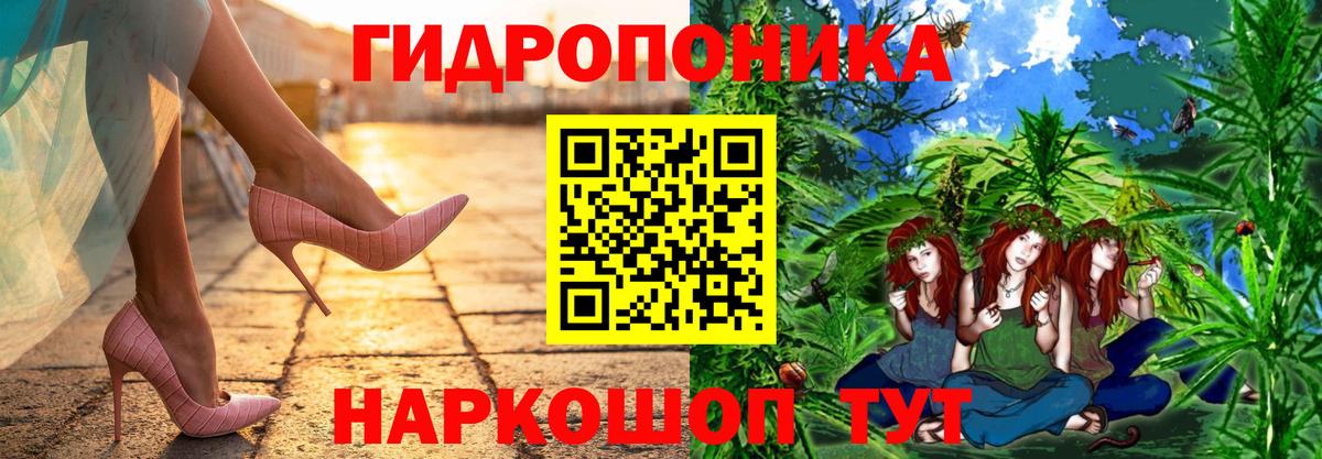 Бошки Шишки Bruce Banner Лесозаводск